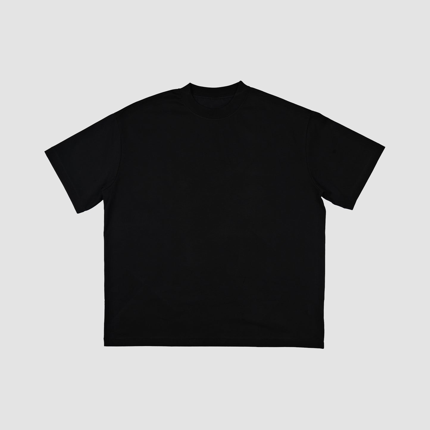 Fullofsheesh Chilly Blank Tee (Black)