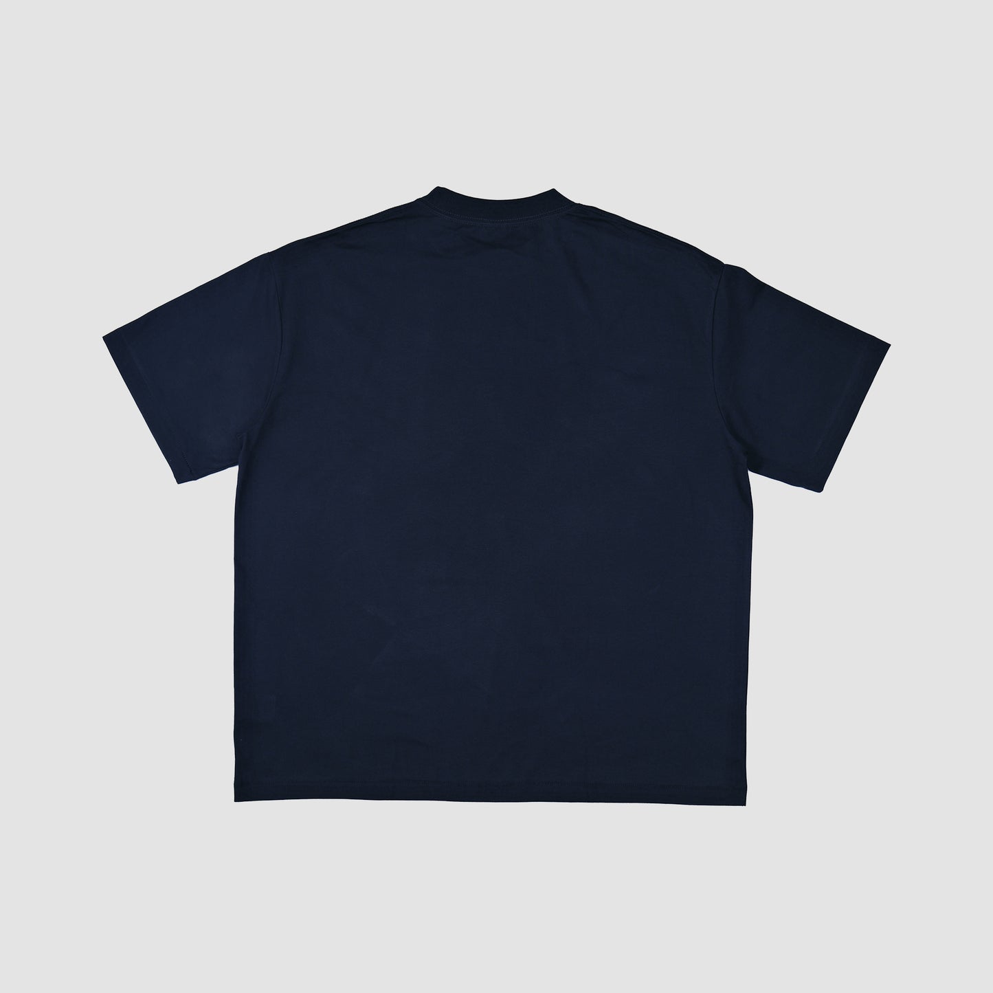 Fullofsheesh Chilly Blank Tee (Navy)