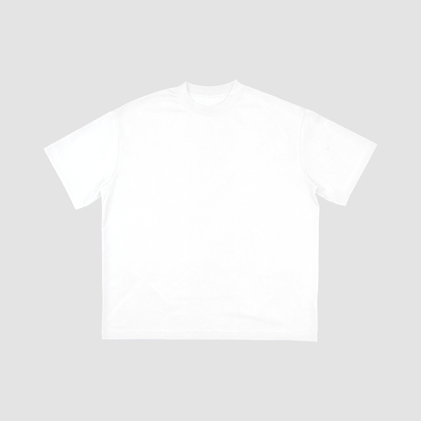 Fullofsheesh Chilly Blank Tee (White)